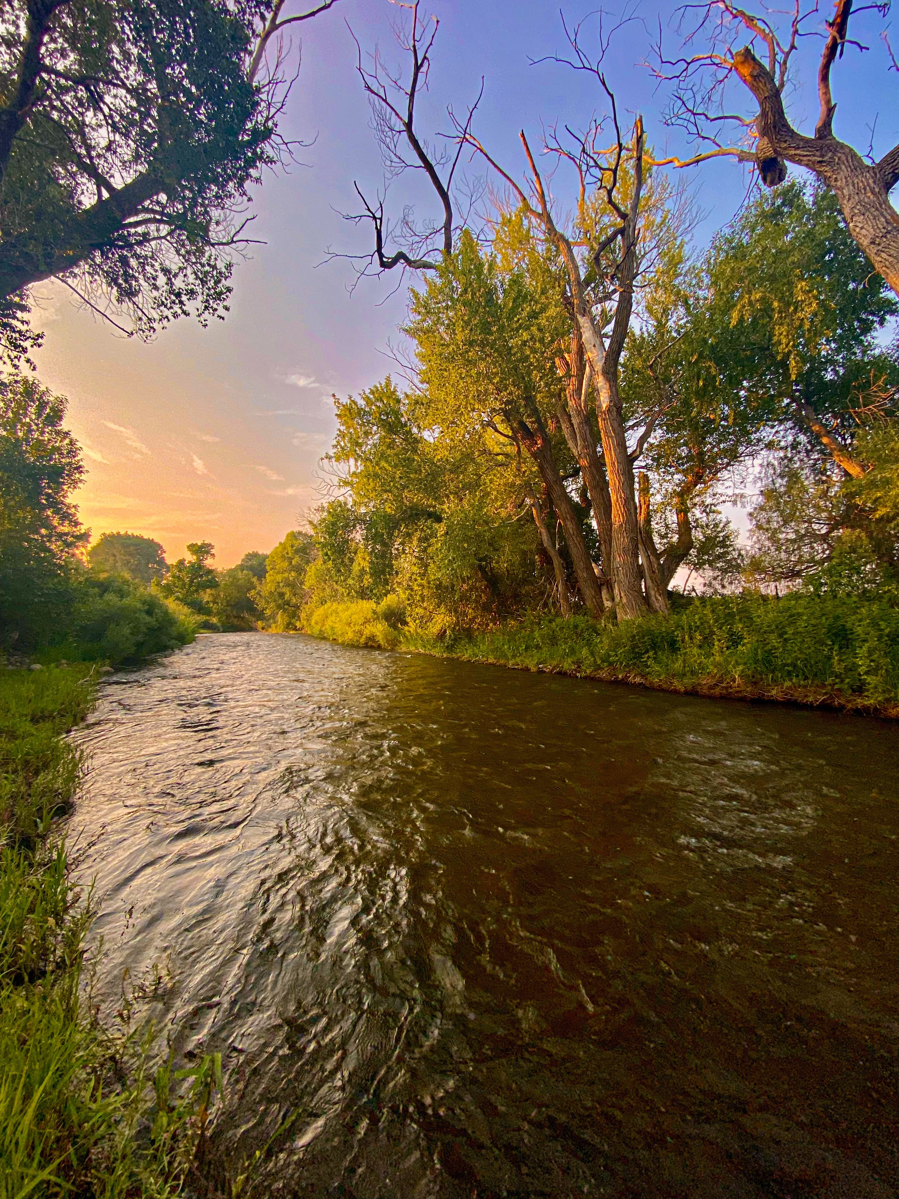 Wilderness designation still best way to protect lands