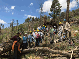 Volunteer Trail Crew Builds Capacity for Community Wilderness Stewardship