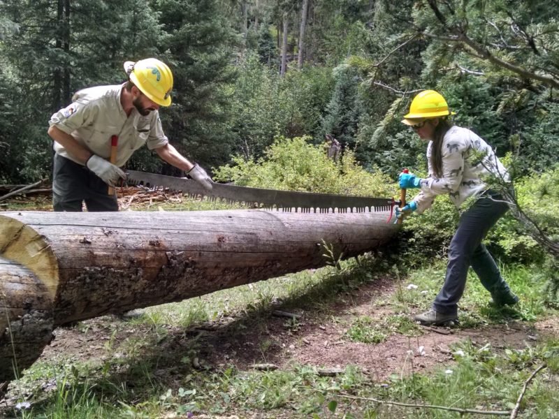 New Analysis Shows Deep Cuts & Staffing Vacancies at Energy, Environment and Public Lands Agencies in New Mexico