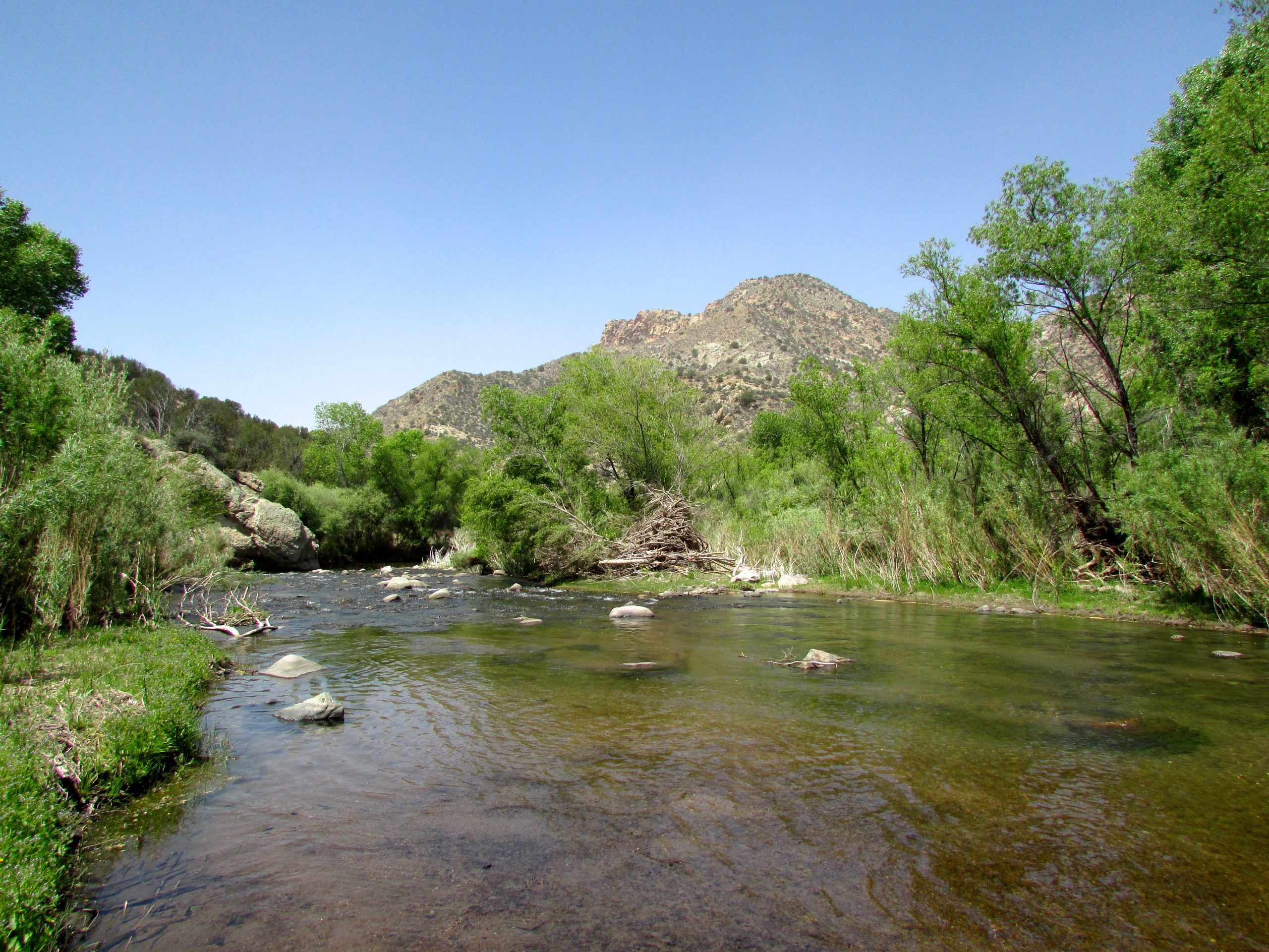 Santa Fe New Mexican: ‘Wild’ designation will protect the Gila