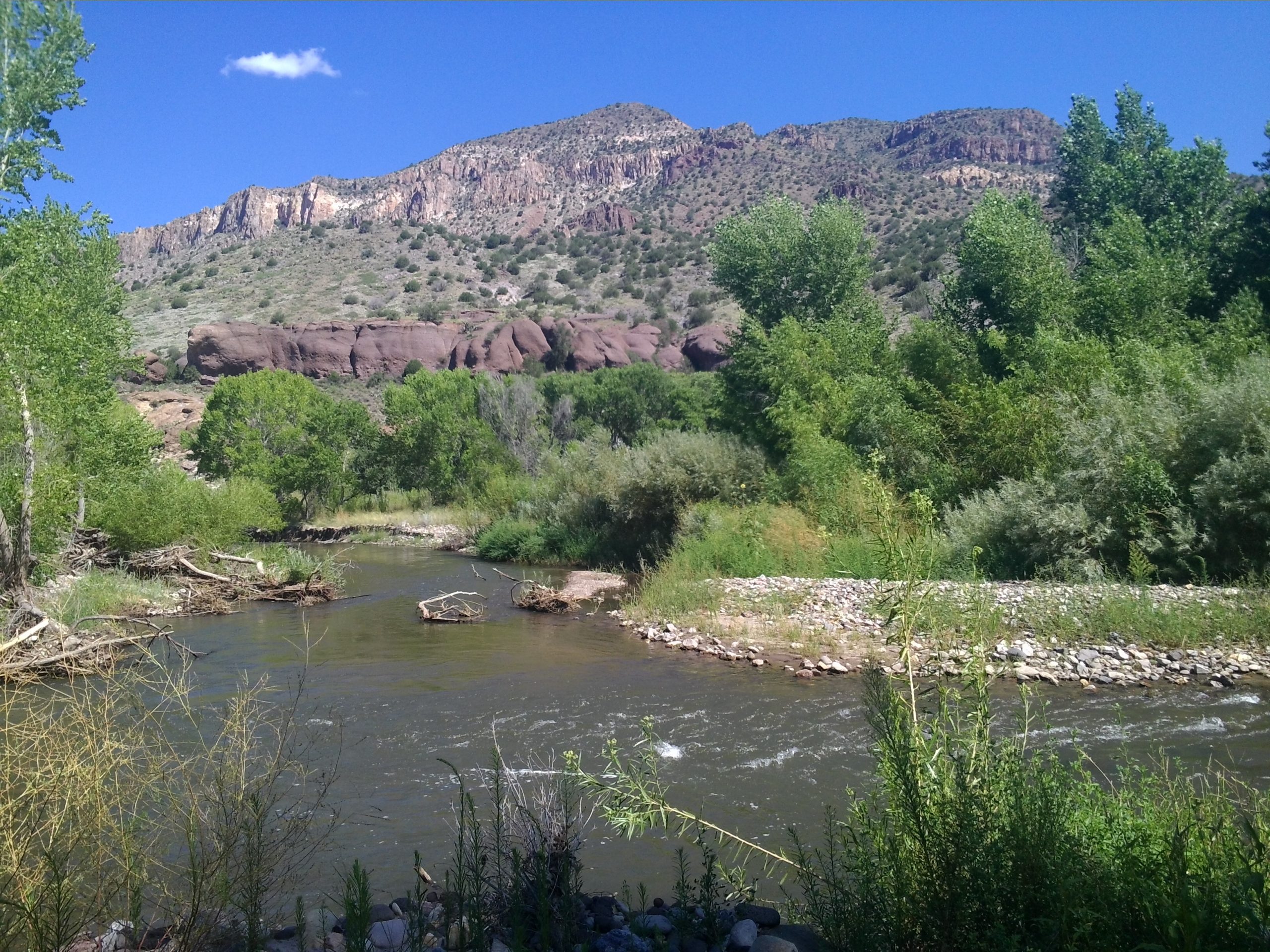 New Mexico’s U.S. senators propose Gila River protections