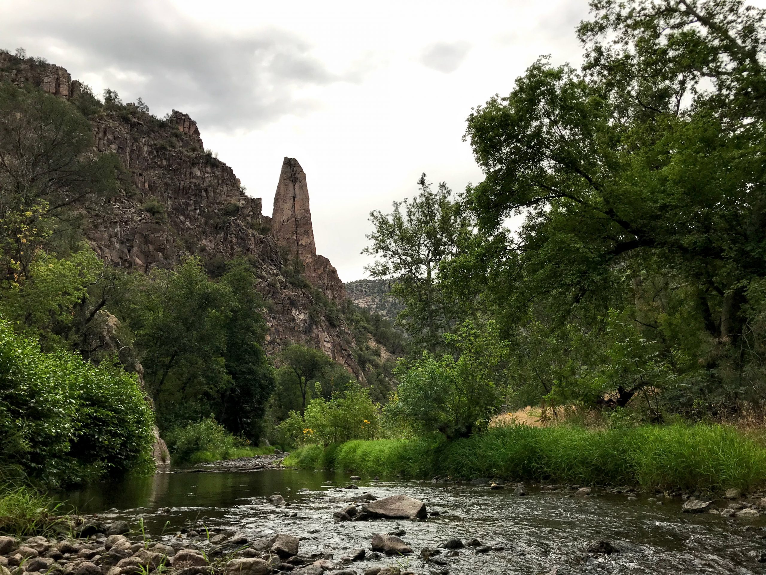 New Mexico Wild statement on ISC ending work on Gila Diversion Project