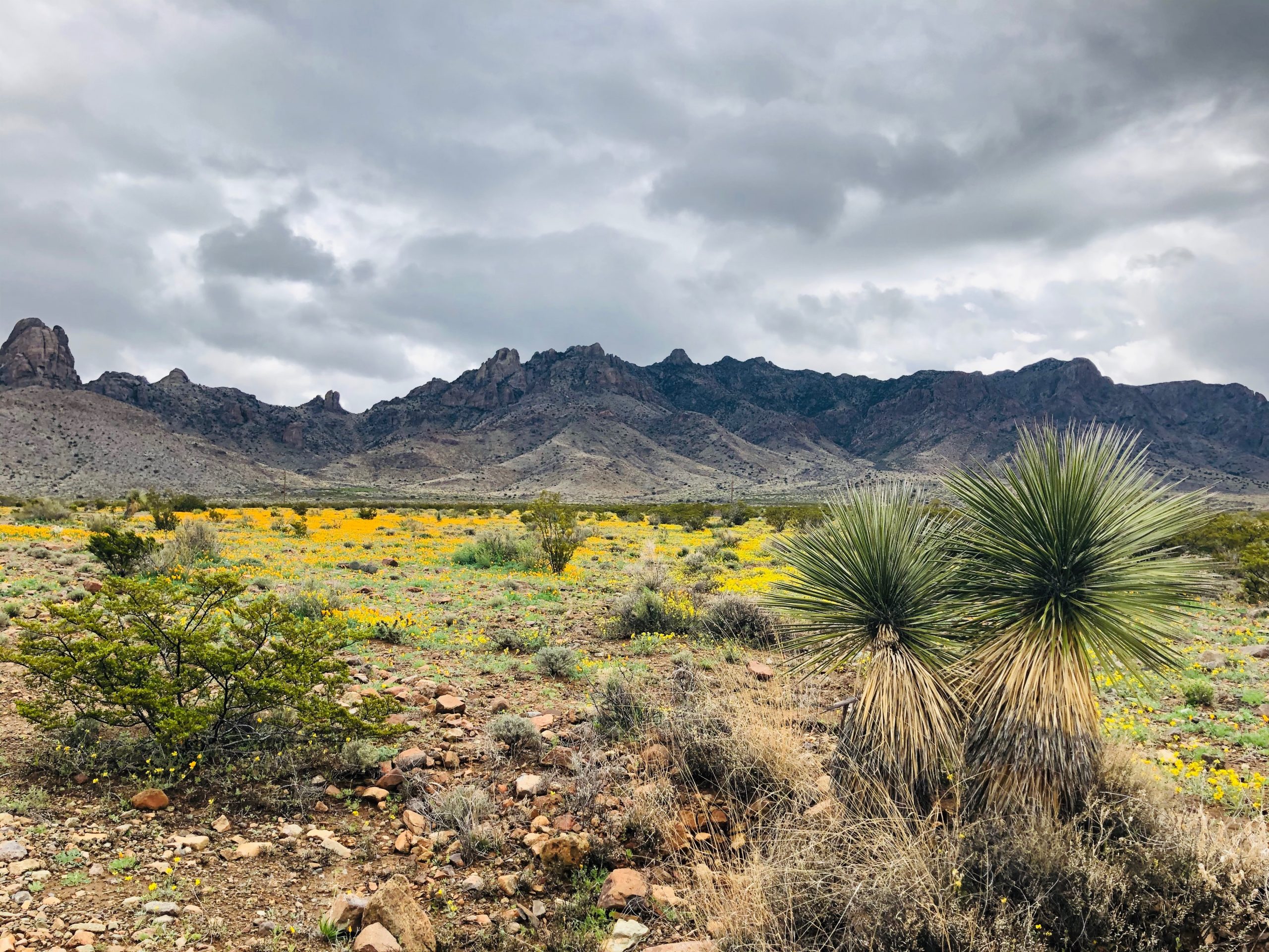 Conservation groups sue federal agency over proposed dolomite mine in Deming