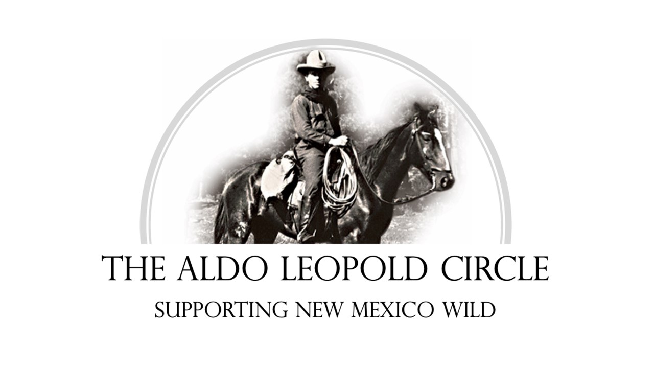 ALC logo