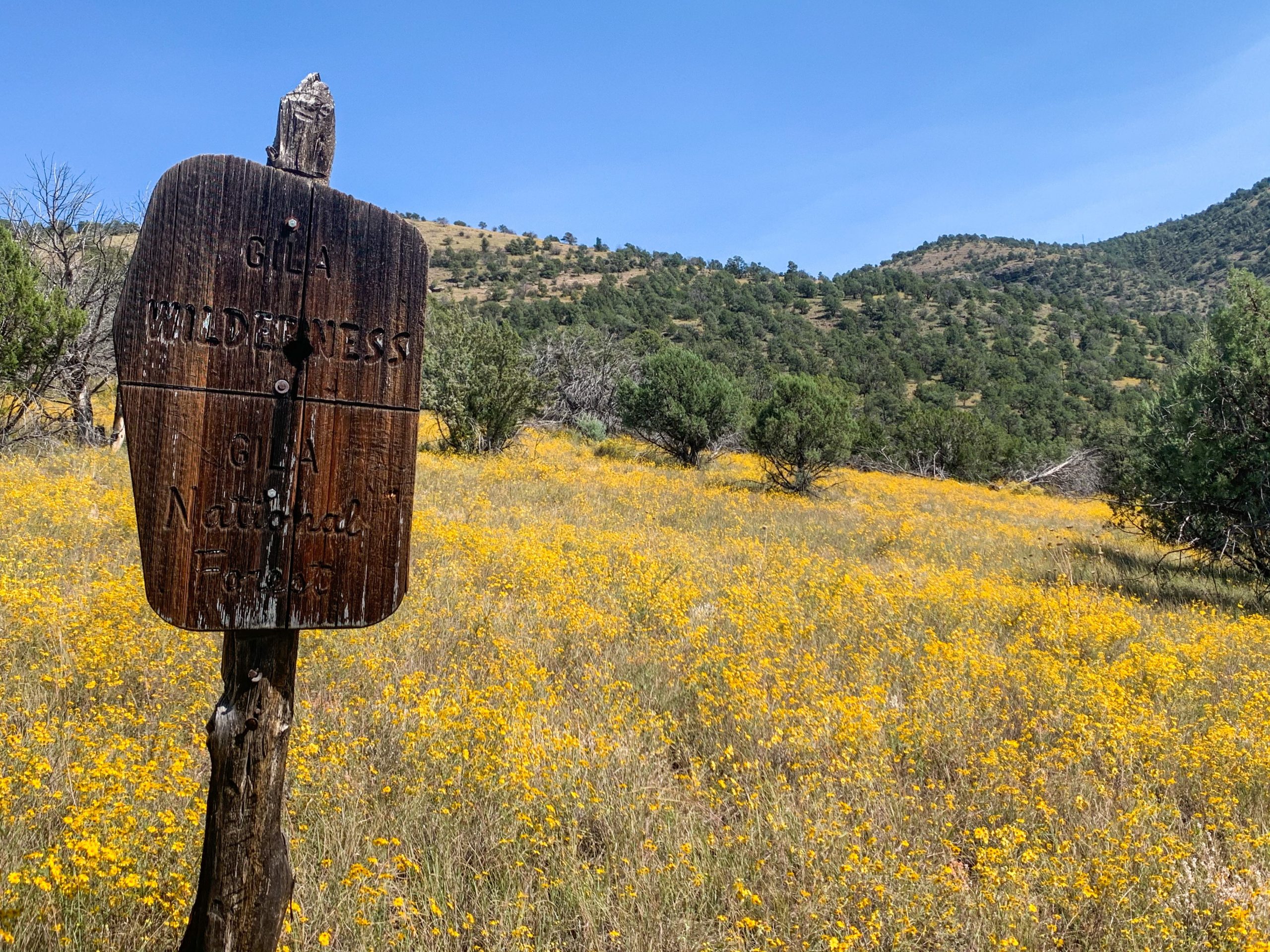Continued Stewardship of the Gila