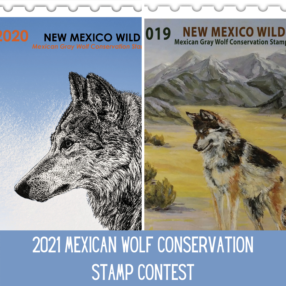 Calling All Artists: Enter the 2021 Wolf Stamp Contest