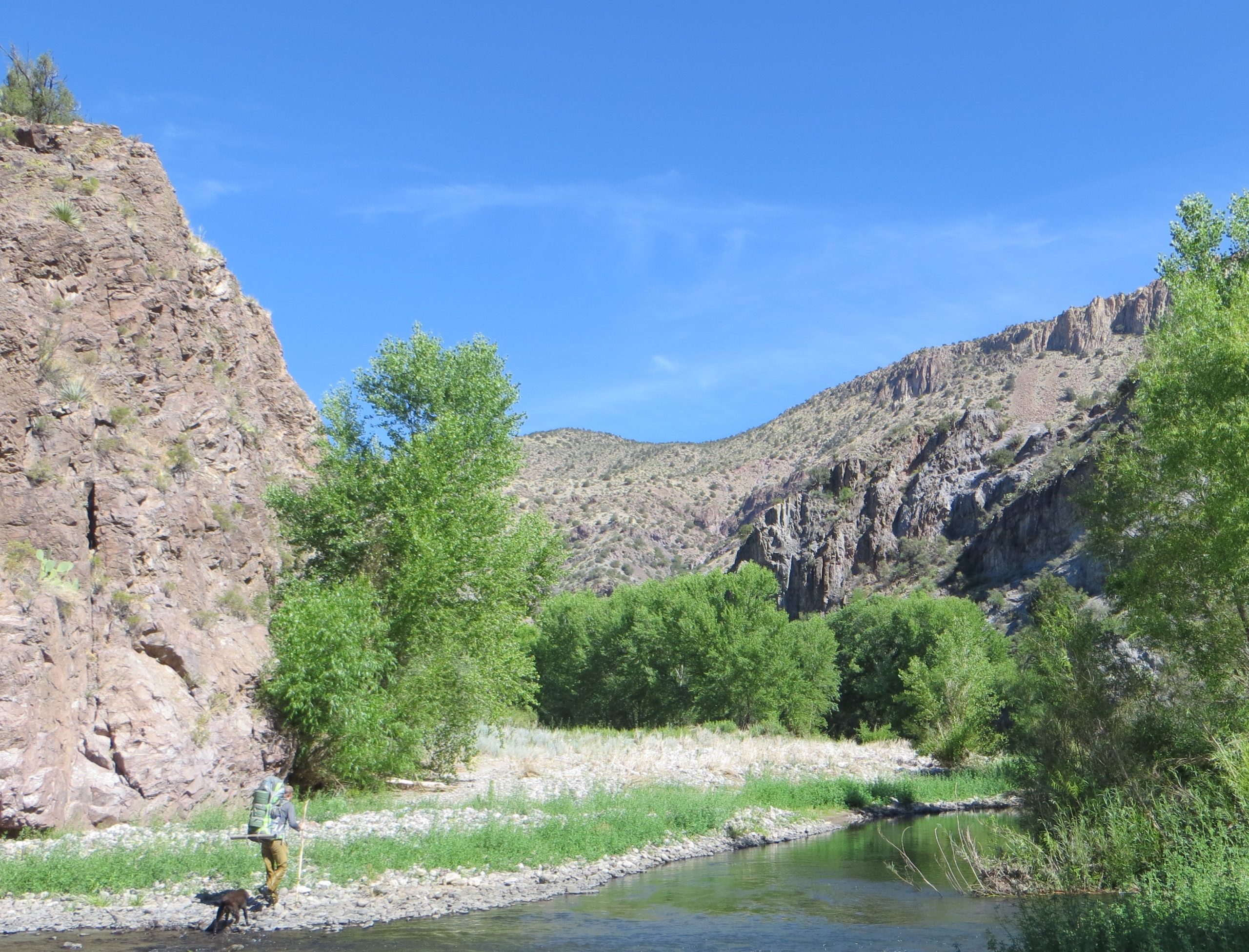 New Study Finds Wild Gila and San Francisco Rivers Greatly Contribute to Local Economy