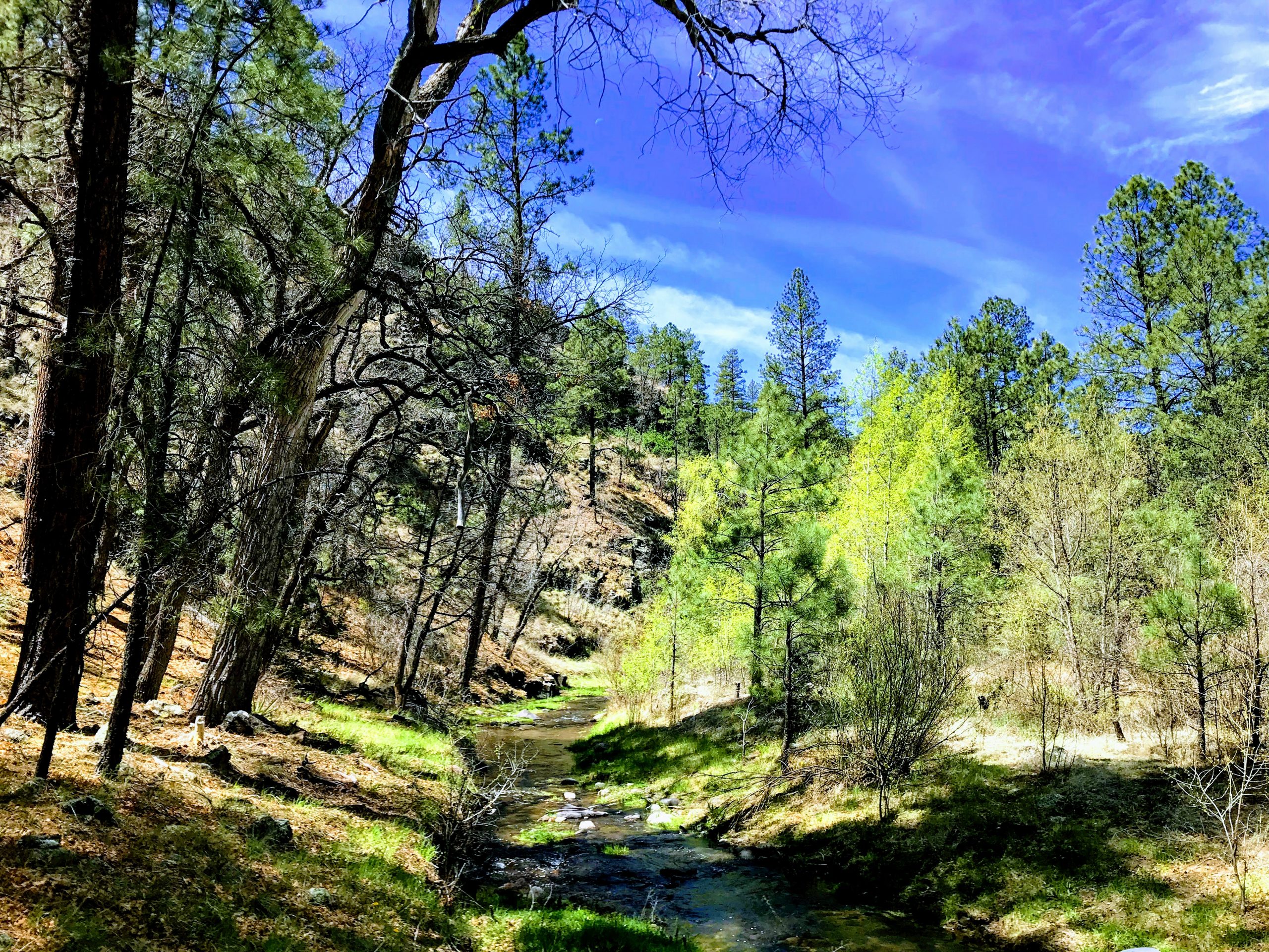 Clean, protected waters will help New Mexico recover