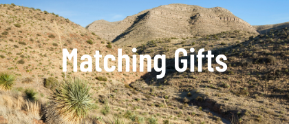 Matching Gift Programs