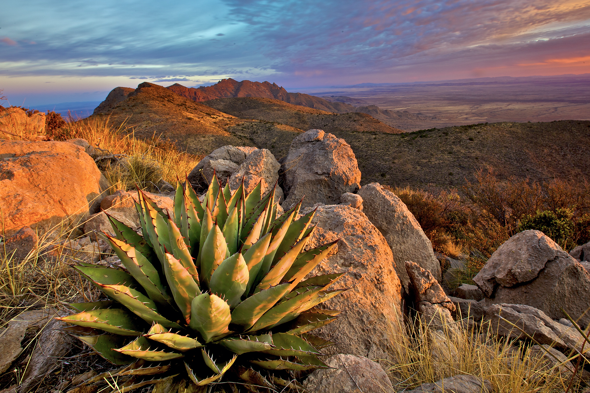 BLM to withdraw approval of Florida Mountains mine in response to citizens’ lawsuit