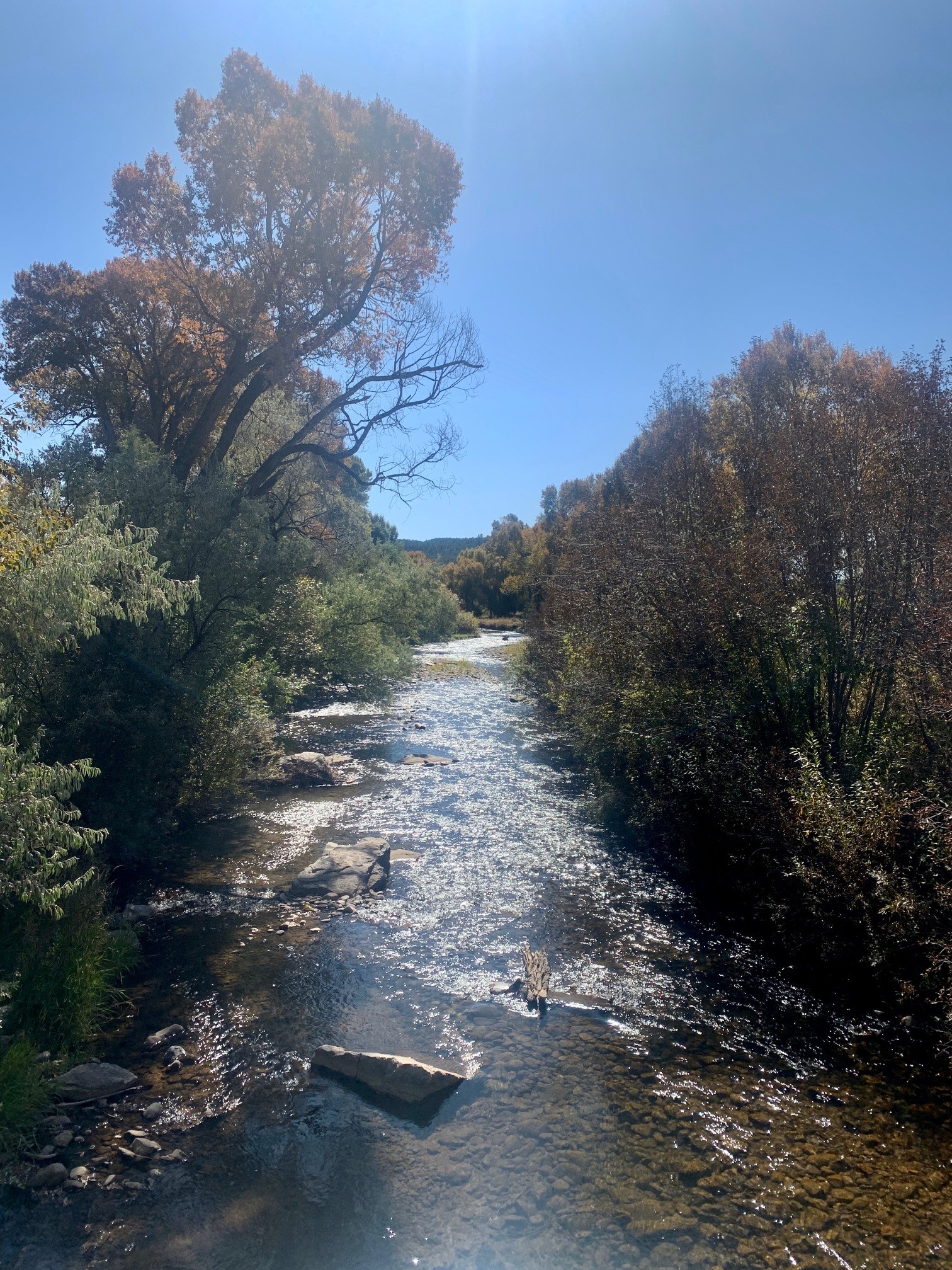 New Mexico Wild statement on Pecos River being named one of the nation’s most endangered