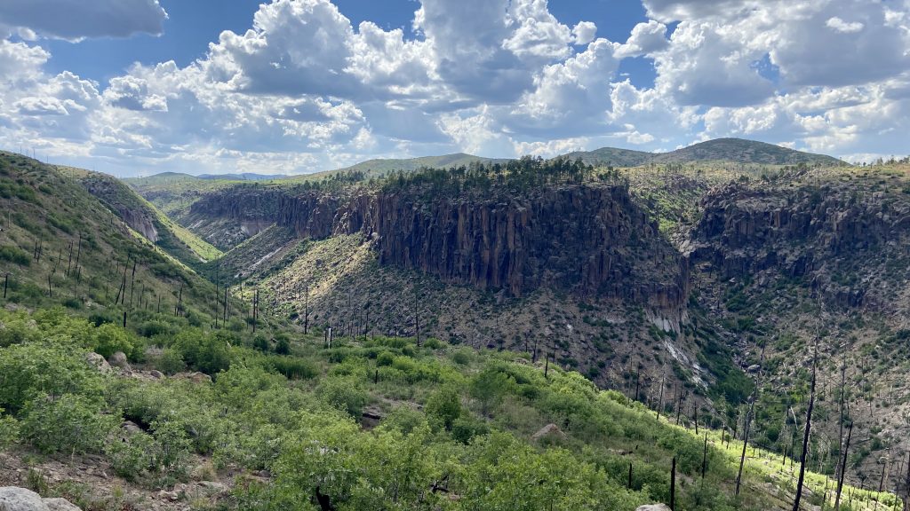 Santa Fe National Forest New Mexico Wilderness Alliance