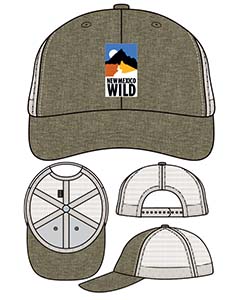 Green Hat with Brown Brim