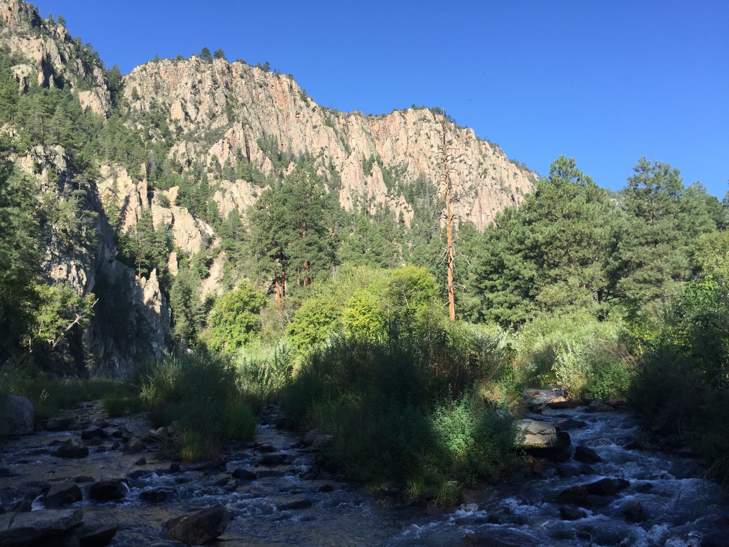 New Mexico Wild celebrates reintroduction of legislation to protect Gila, San Francisco rivers as Wild and Scenic