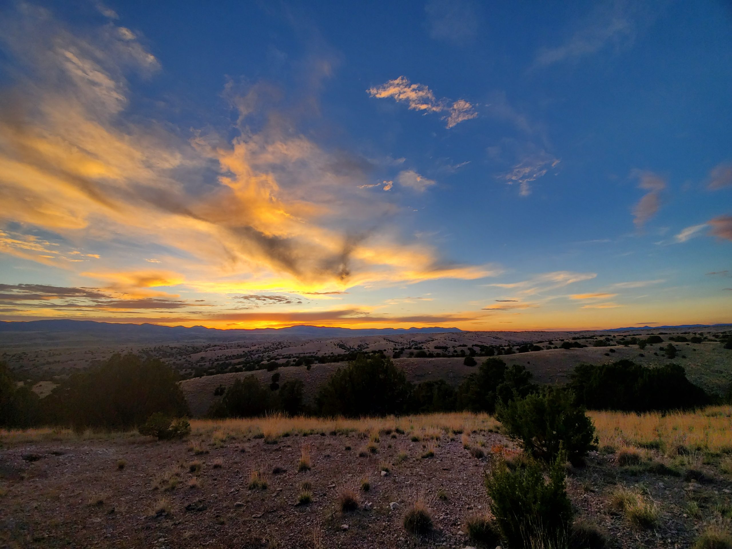 Groups Celebrate Governor Lujan Grisham’s Long-Term Funding Proposal for Conservation