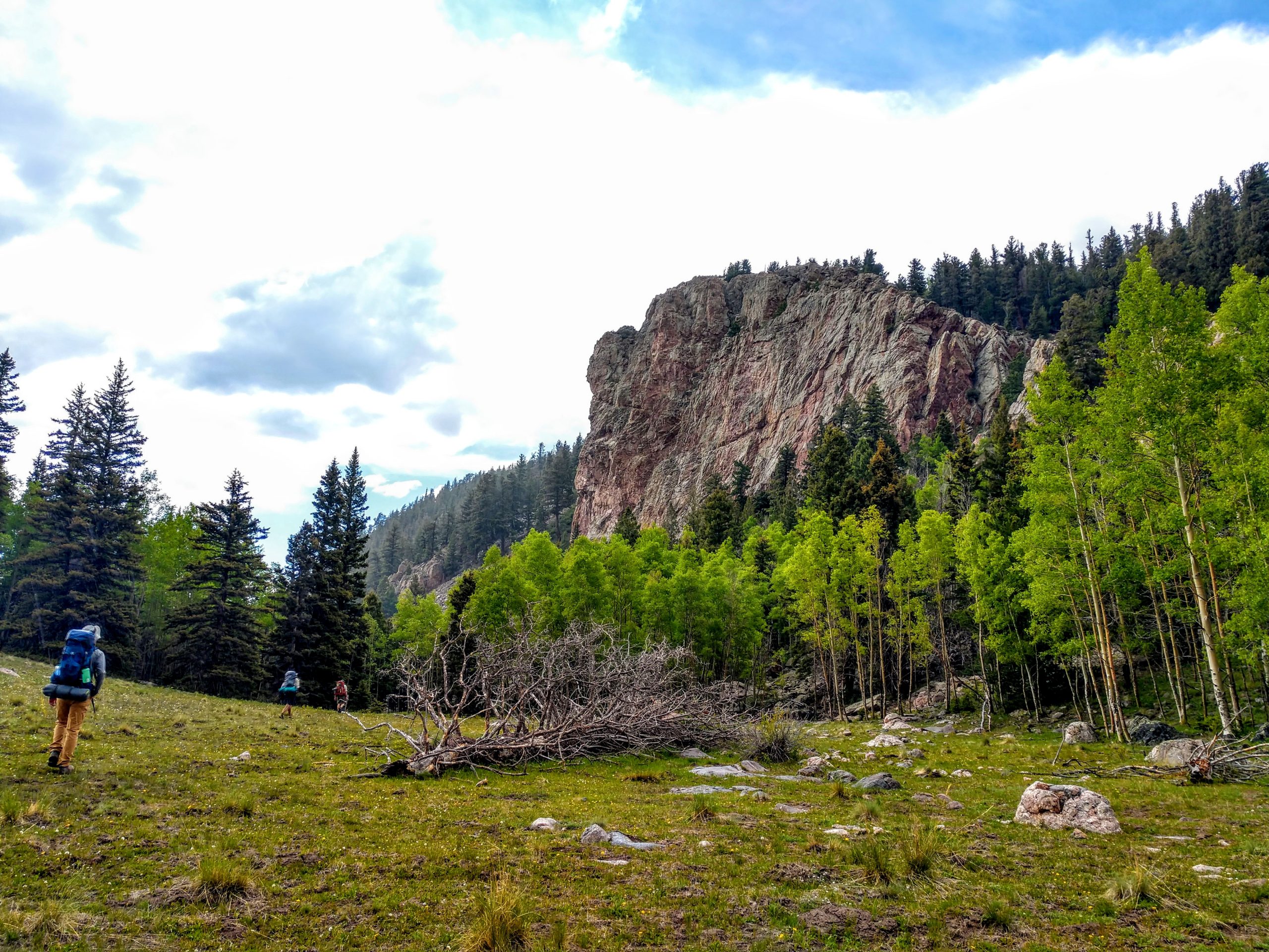 New Mexico Wild celebrates ruling upholding constitutional right to stream access