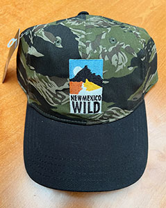 Green Hat with Brown Brim