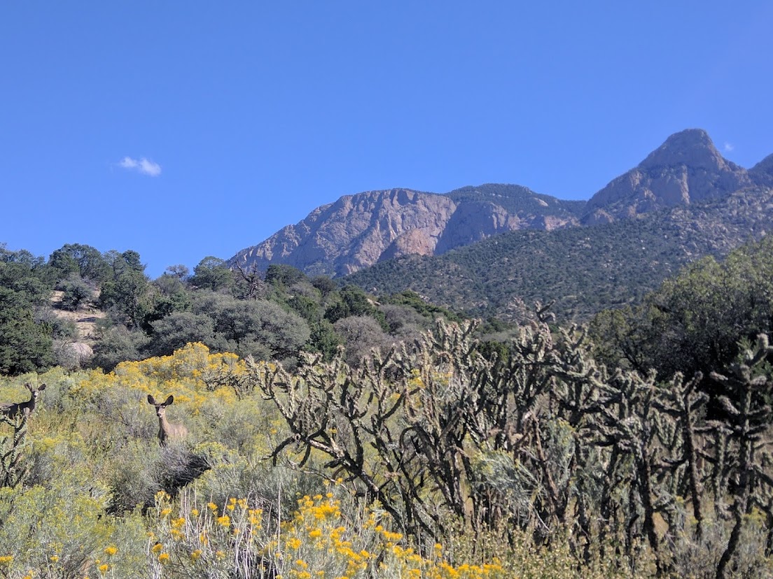 New Mexico Wild issues letter calling for BLM to audit inactive oil and gas wells and associated leases on public lands