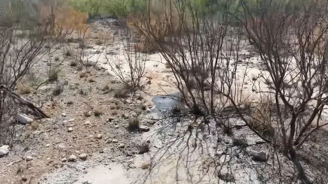 Abandoned oil and gas wells spread out through New Mexico’s Permian, San Juan basins