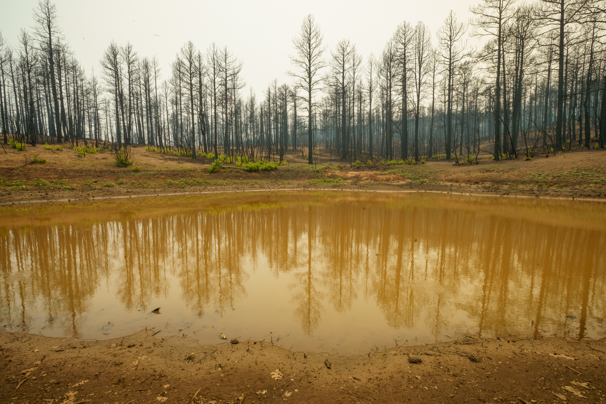 After the fire Residents are left on their own to face major flooding