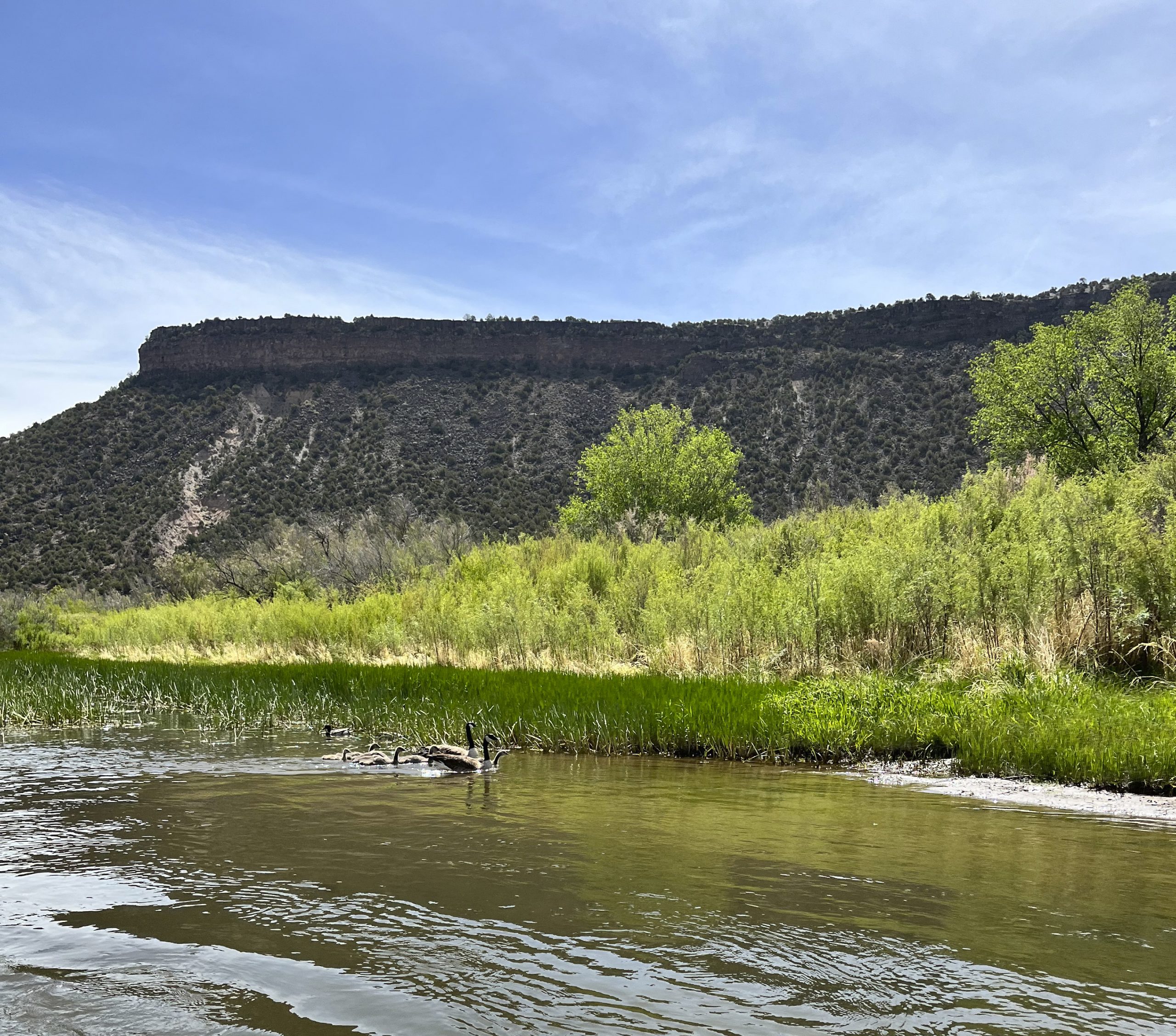Rafting with New Mexico Wild and Far Flung Adventures