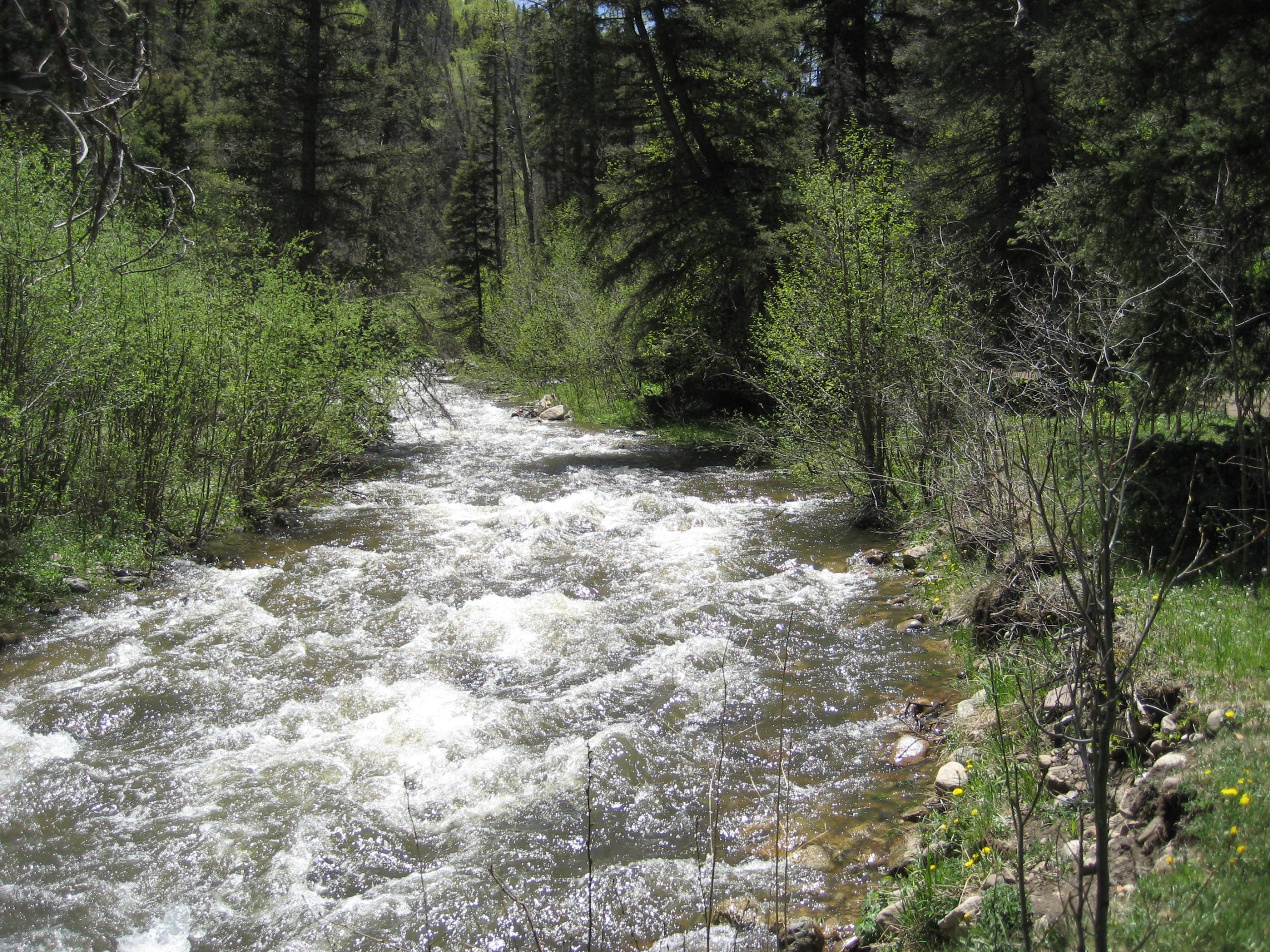 New Mexico proposes protections for northern rivers and streams