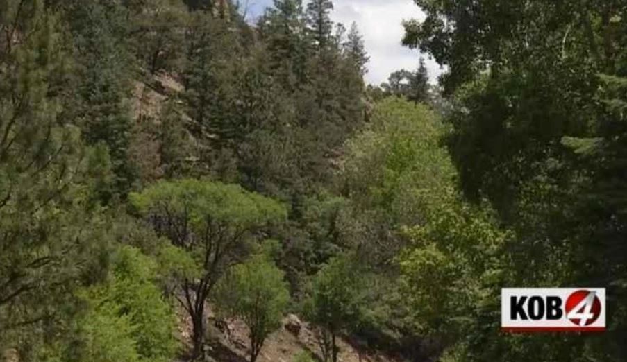 National forests in New Mexico to ease fire restrictions Friday
