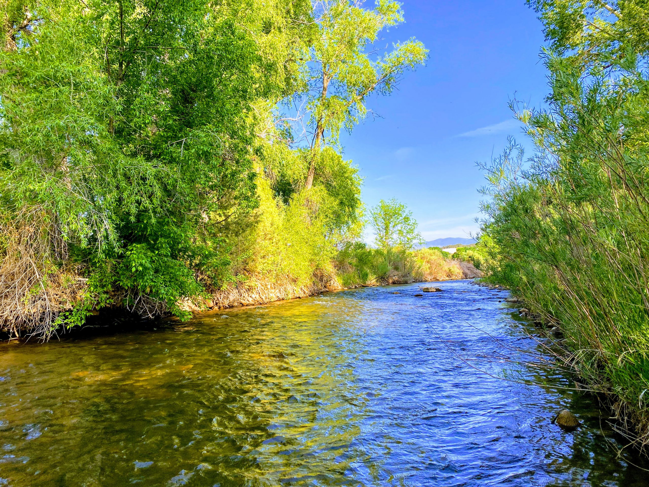 Local communities applaud Lujan Grisham administration’s support for water protections for northern New Mexico streams