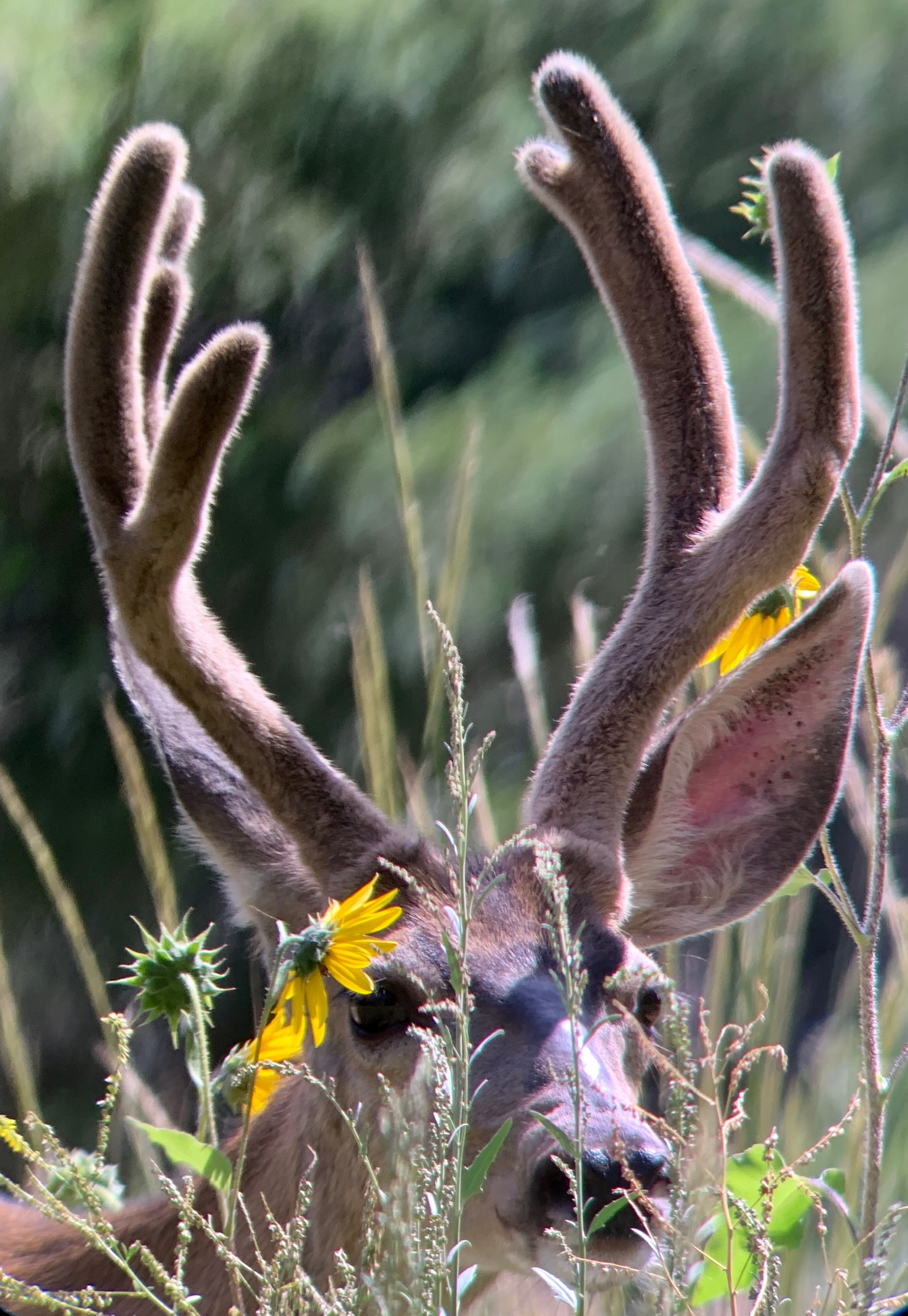 Protecting a national treasure that embodies the American Southwest