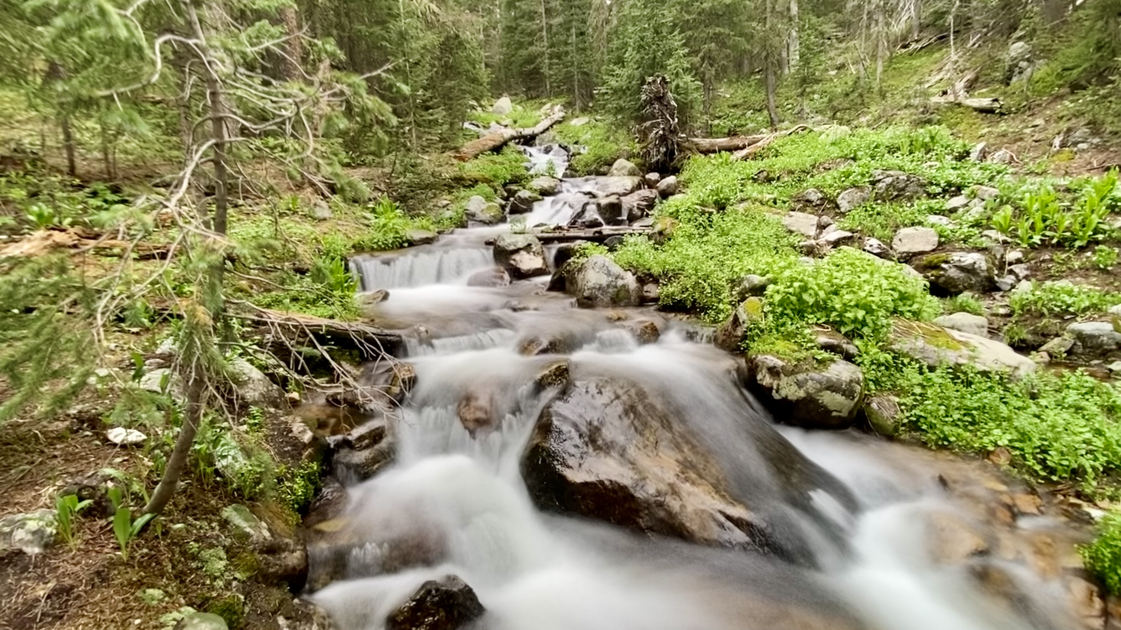 Recent Outstanding National Resource Waters Designations a Huge Win For Watershed & Water Quality Protection in Northern NM!