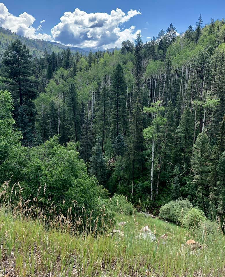 New Mexico Wild: Public Lands Day Hike Highlights Reasons for Protecting the Thompson Peak Recommended Wilderness Area from Mining