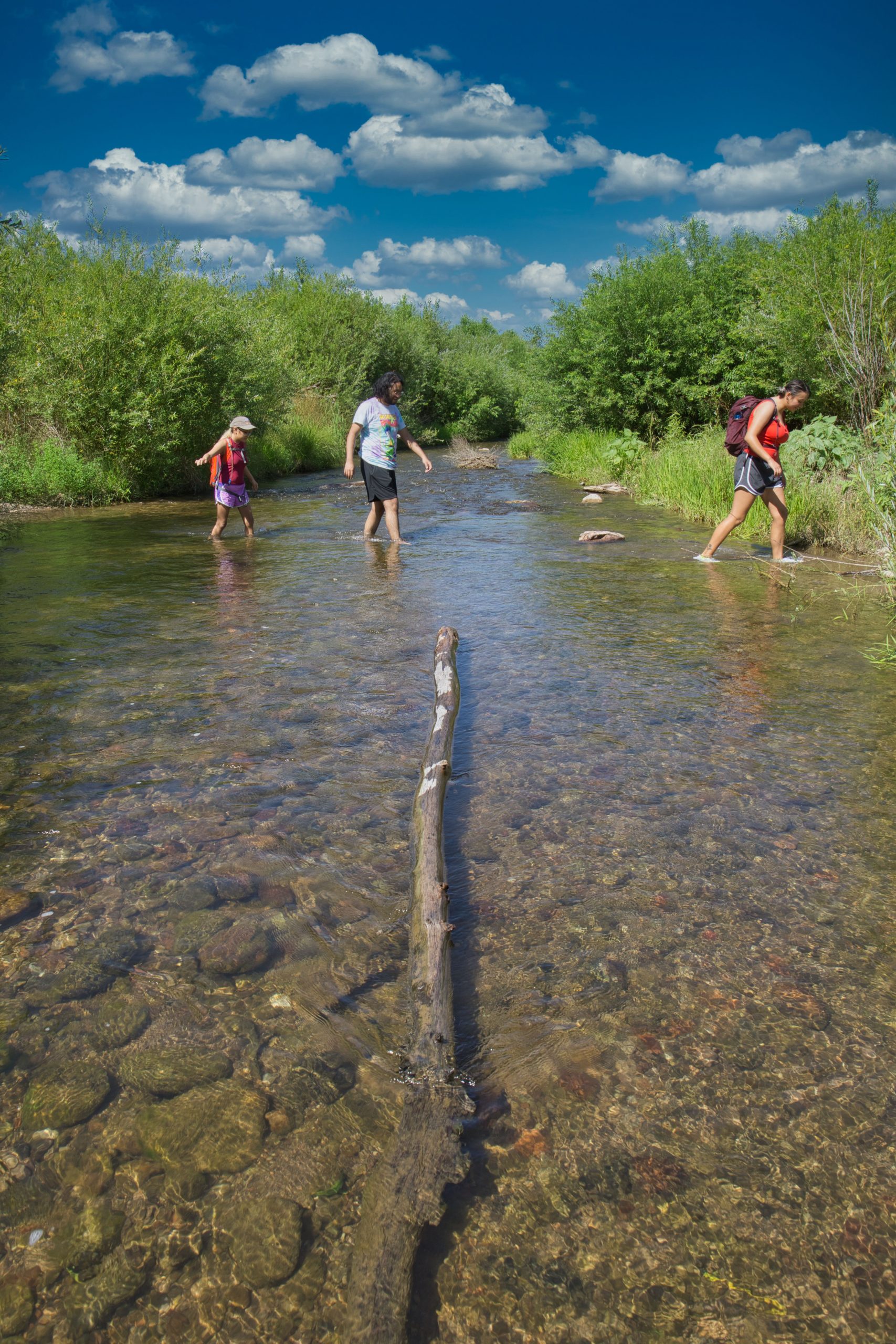 Nathan Newcomer Highlights Importance of Gila Protection on TJ Trout Podcast