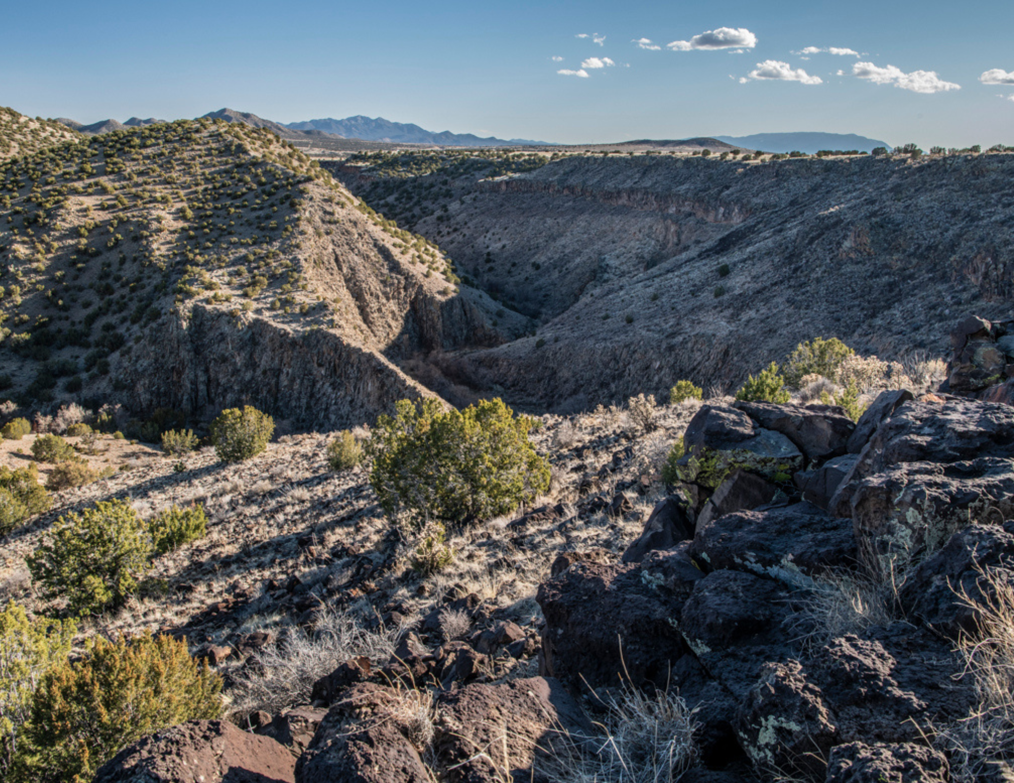 Weigh in on New Mexico’s conservation priorities as part of the 30×30 campaign