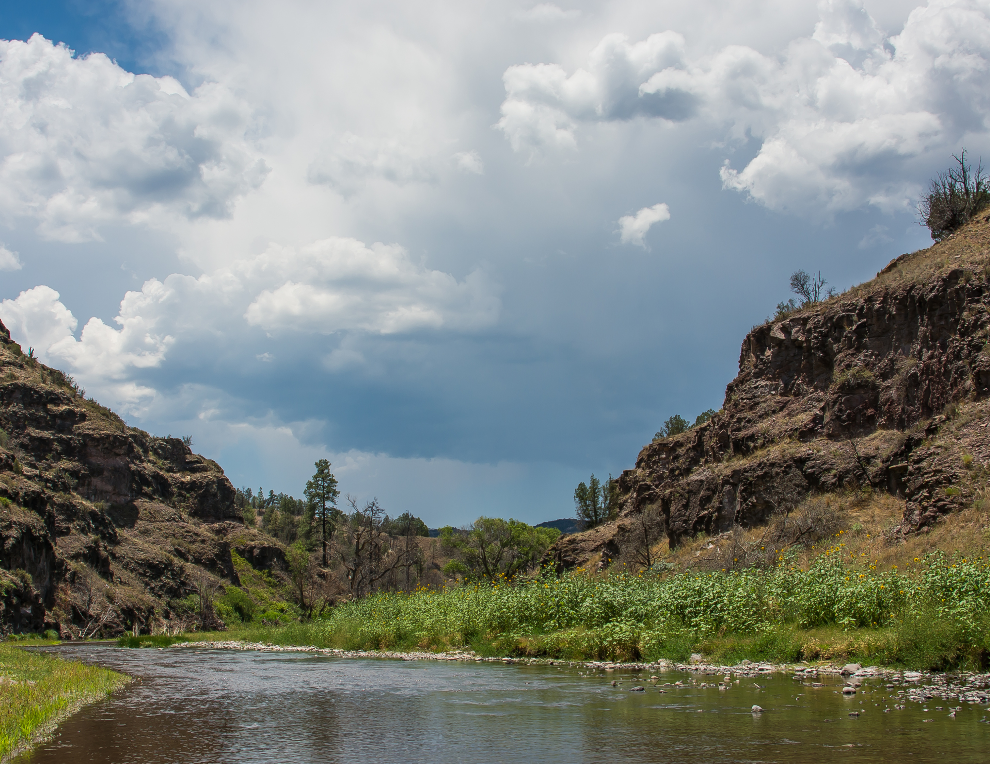 Keeping the Gila River Wild for People and the Planet