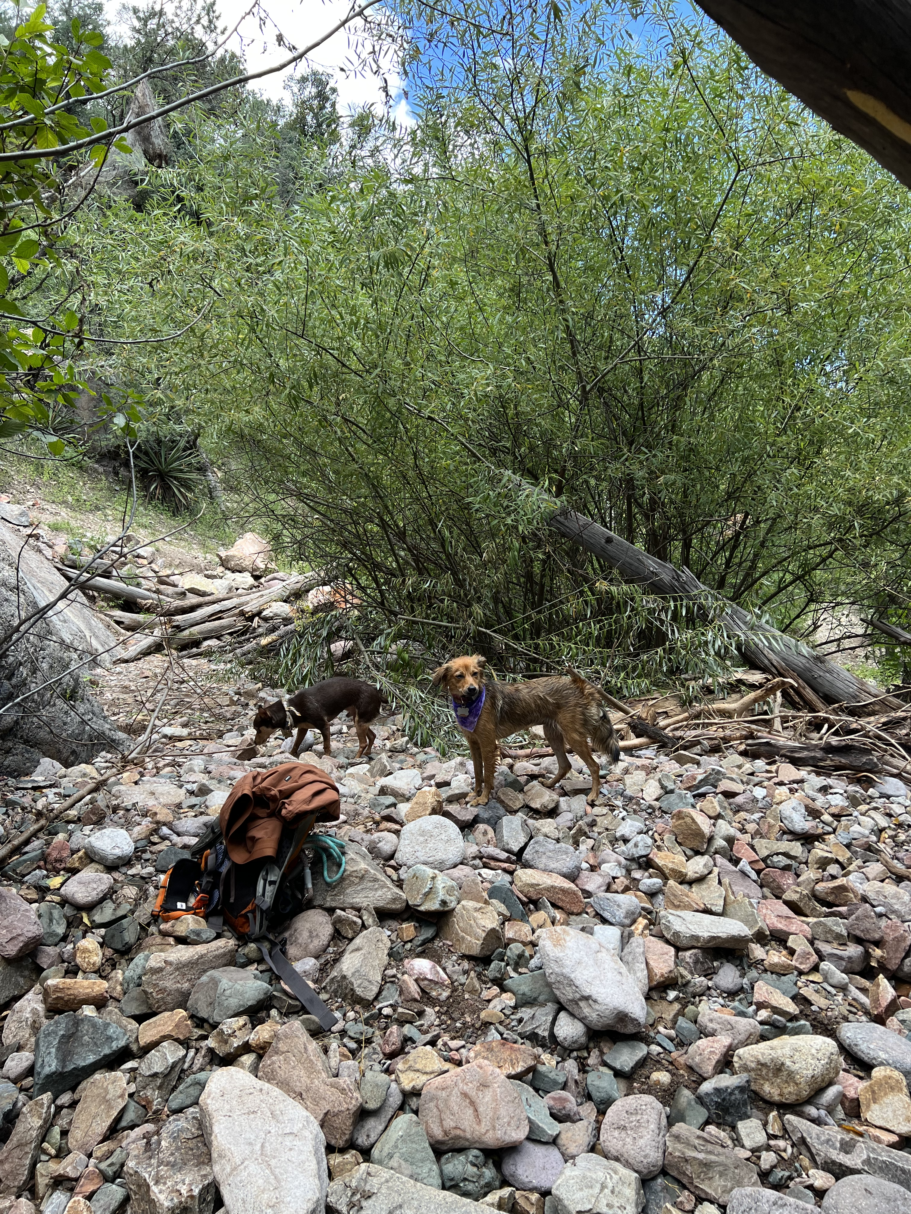 Humbled in the Gila