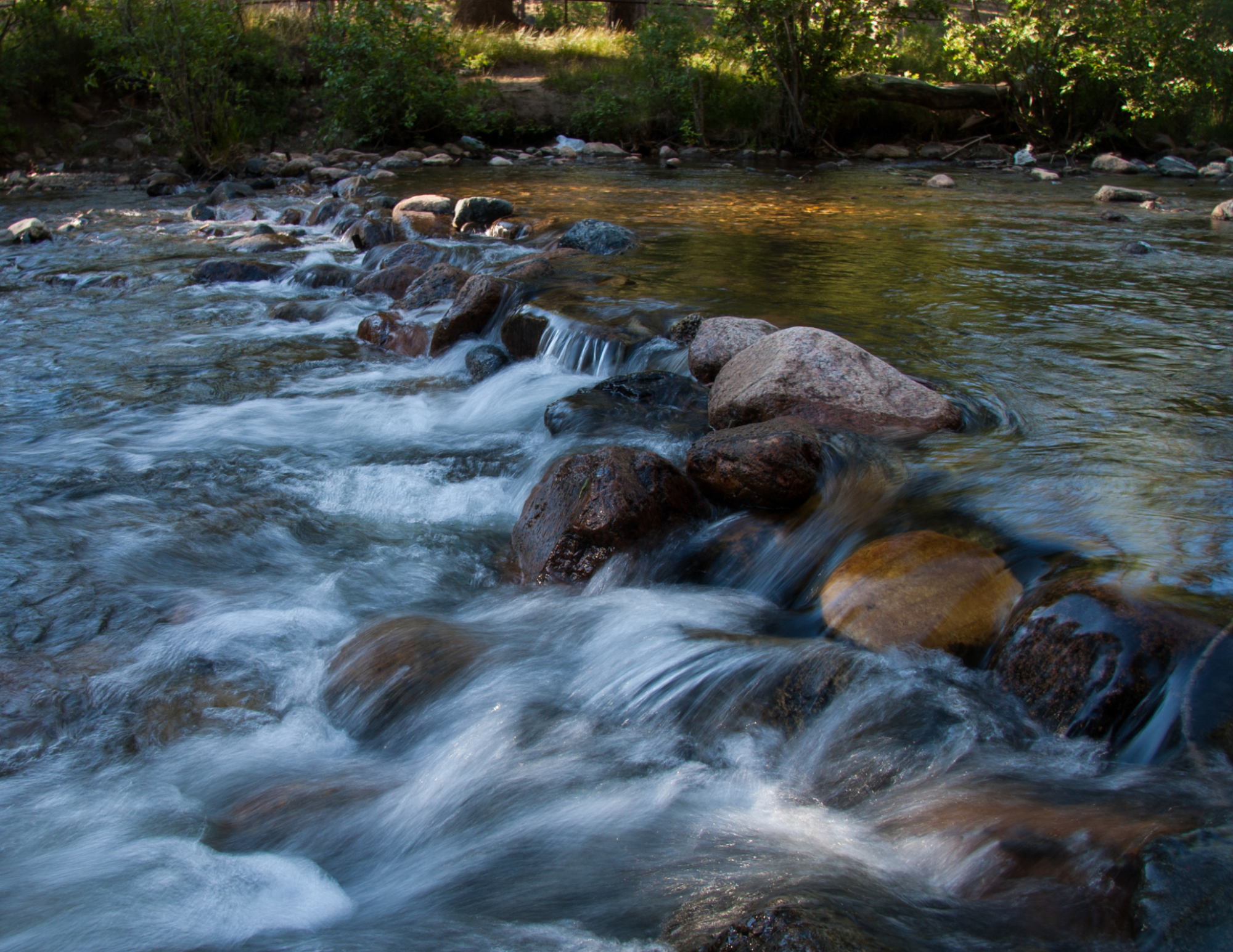 More New Mexico land must be saved from oil and gas to prevent climate crisis, study says