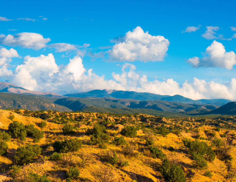 New Mexico voters show conservation and communities matter