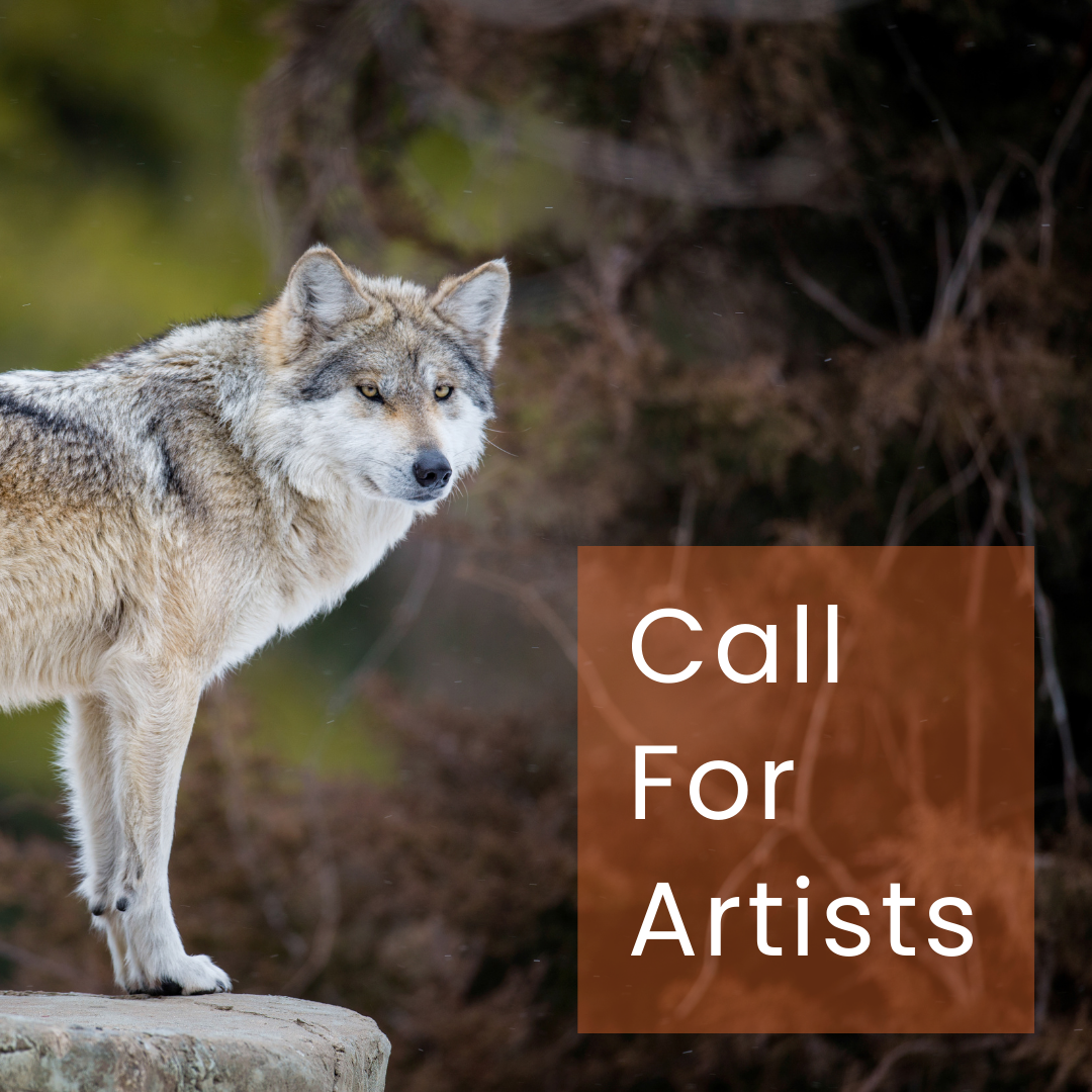 Call For Artists: Enter the 2023 Wolf Stamp Contest!