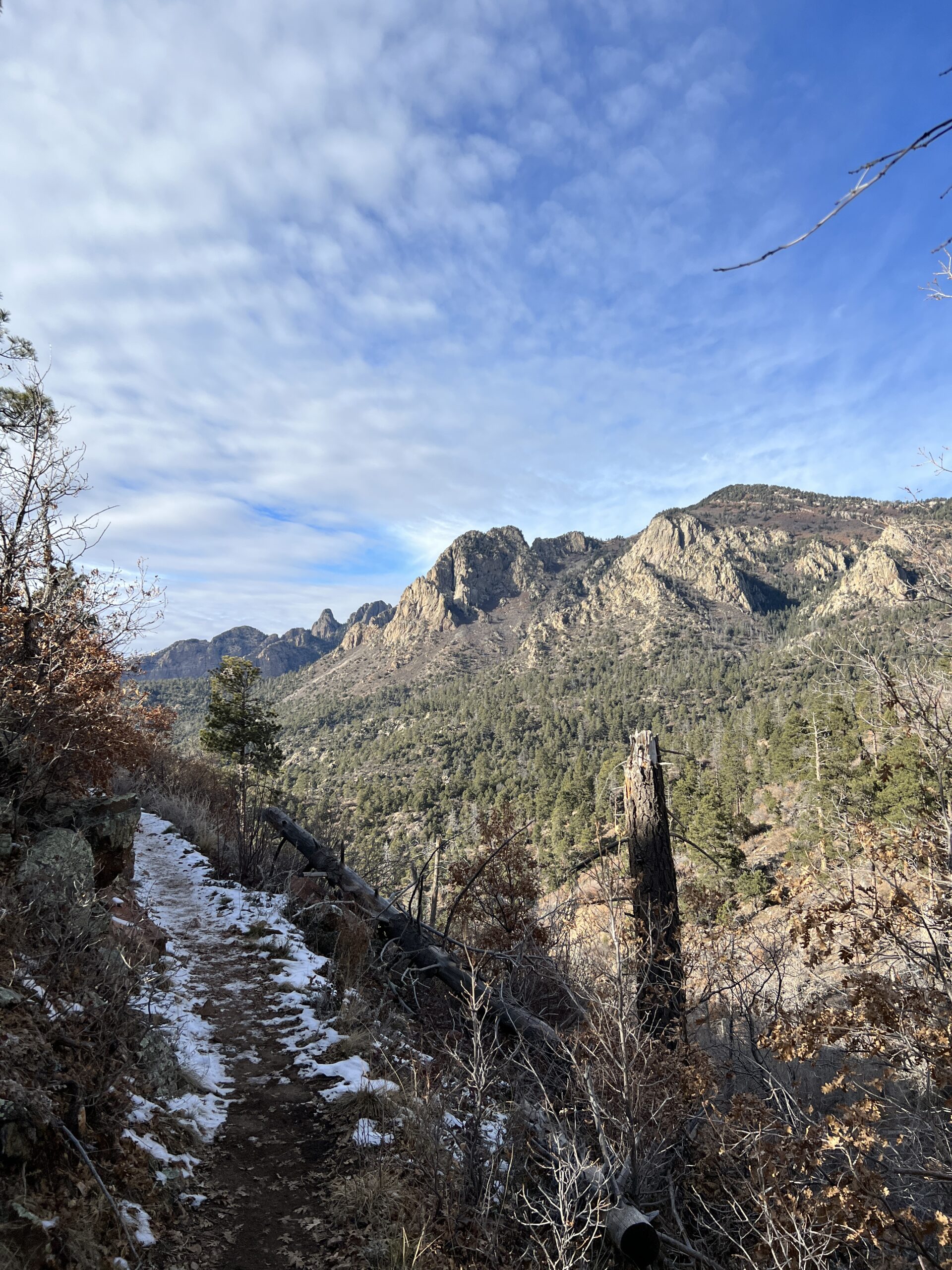 A Perfect Day on the Pino Trail