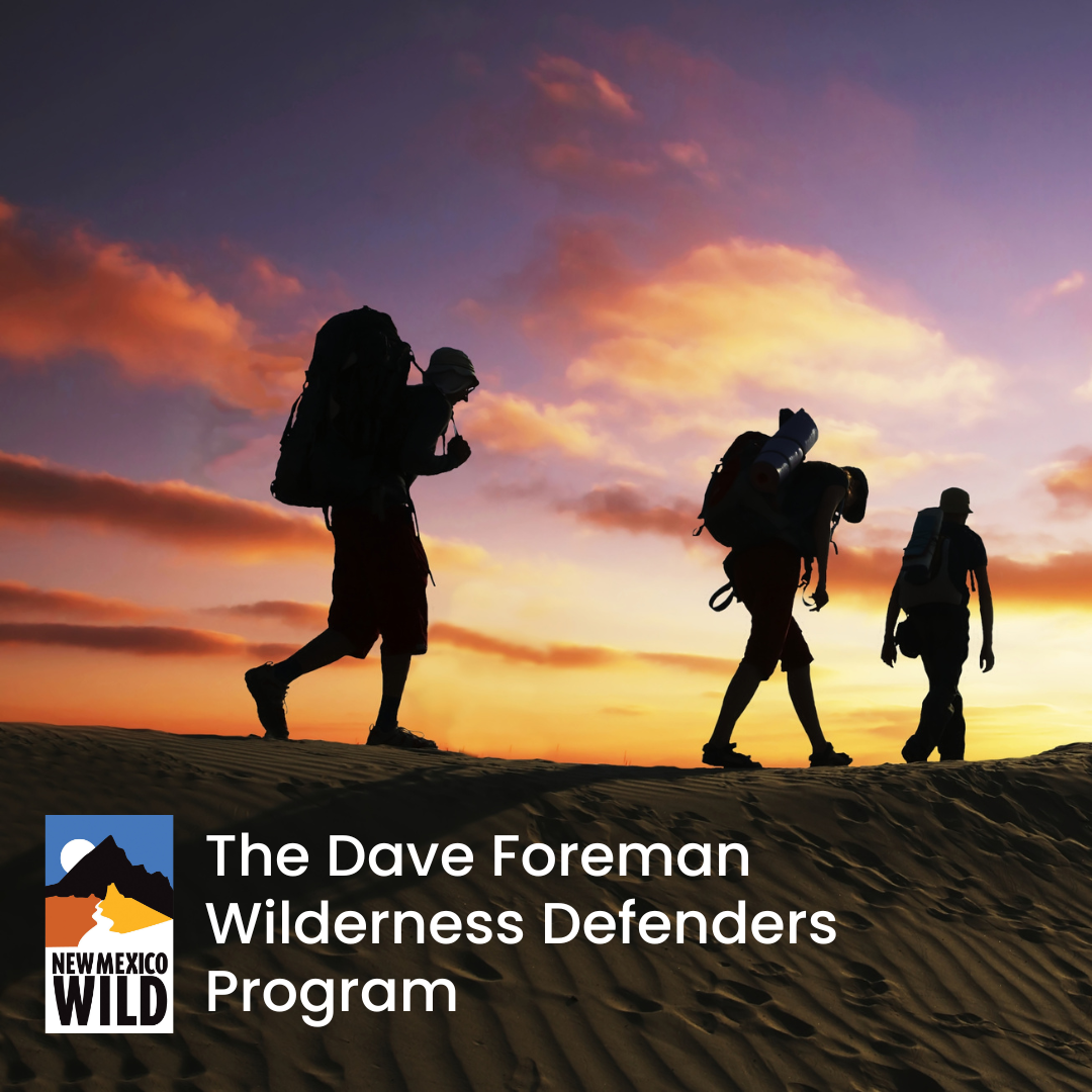 Wilderness Defender Field Training – Caja del Rio / Santa Fe