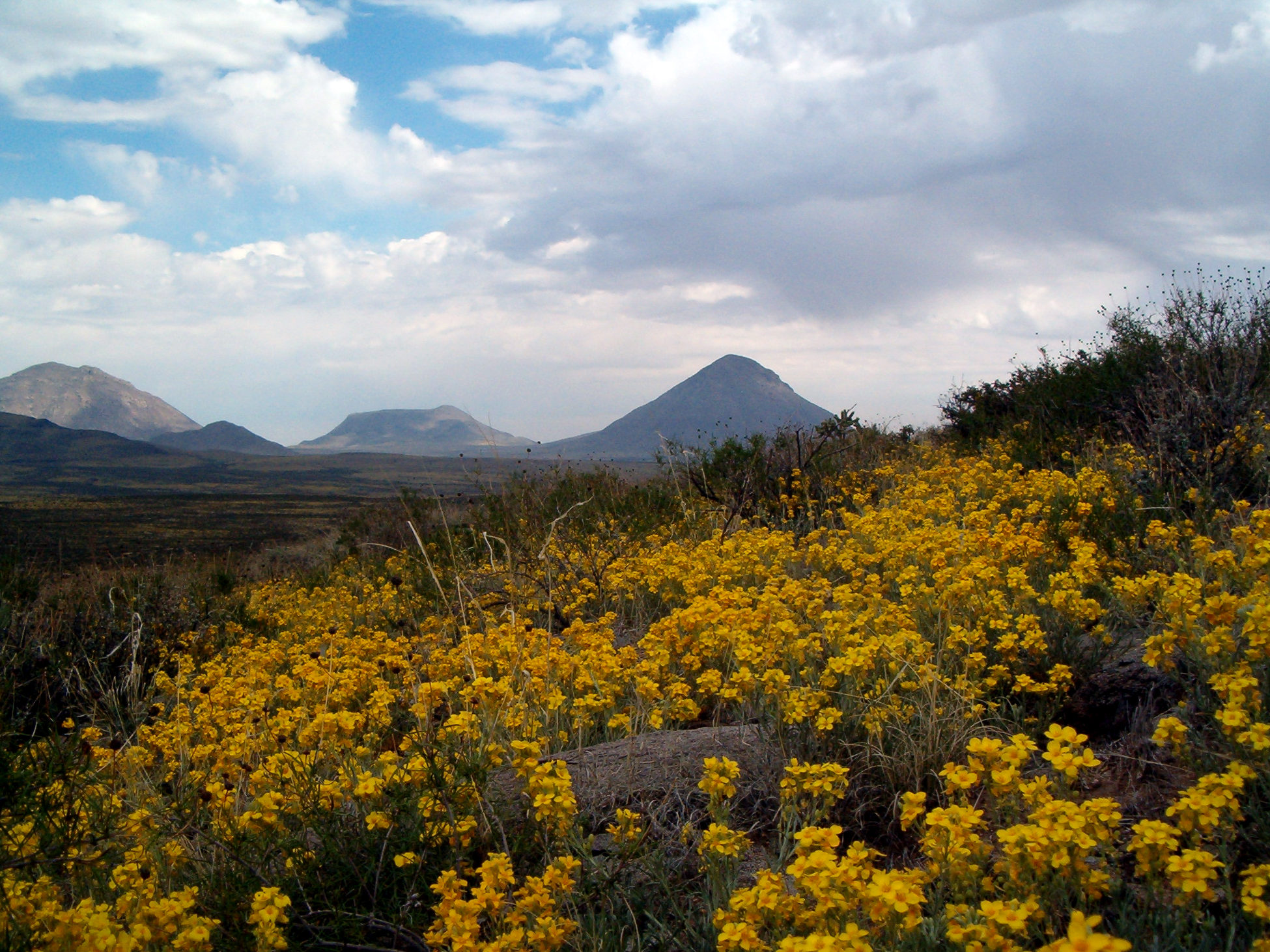 Op-Ed: BLM must lead, prioritize meaningful conservation