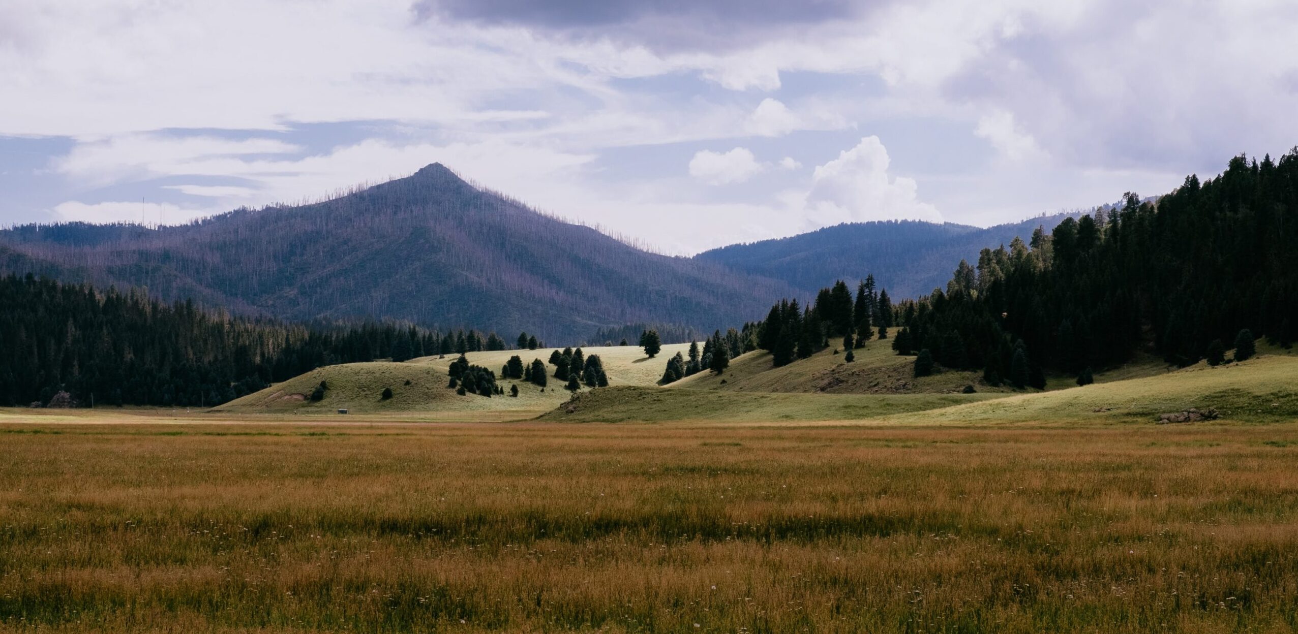Action Alert: Comment on the Future of the Valles Caldera National Preserve