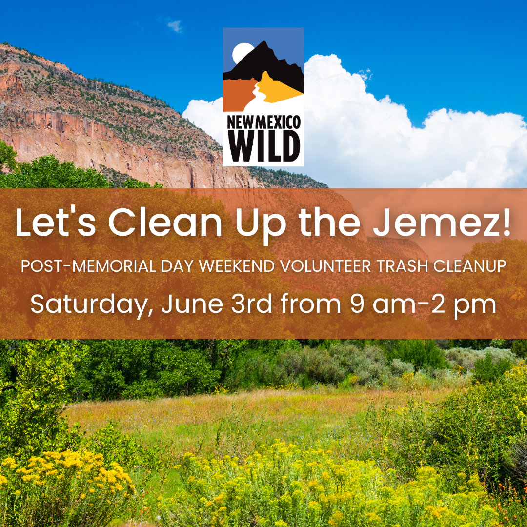Jemez Post-Memorial Day Weekend Cleanup