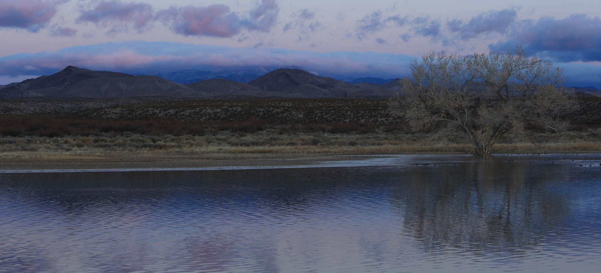 New Mexico Wild Statement on Sackett v. EPA Decision Narrowing Waters of the United States Definition