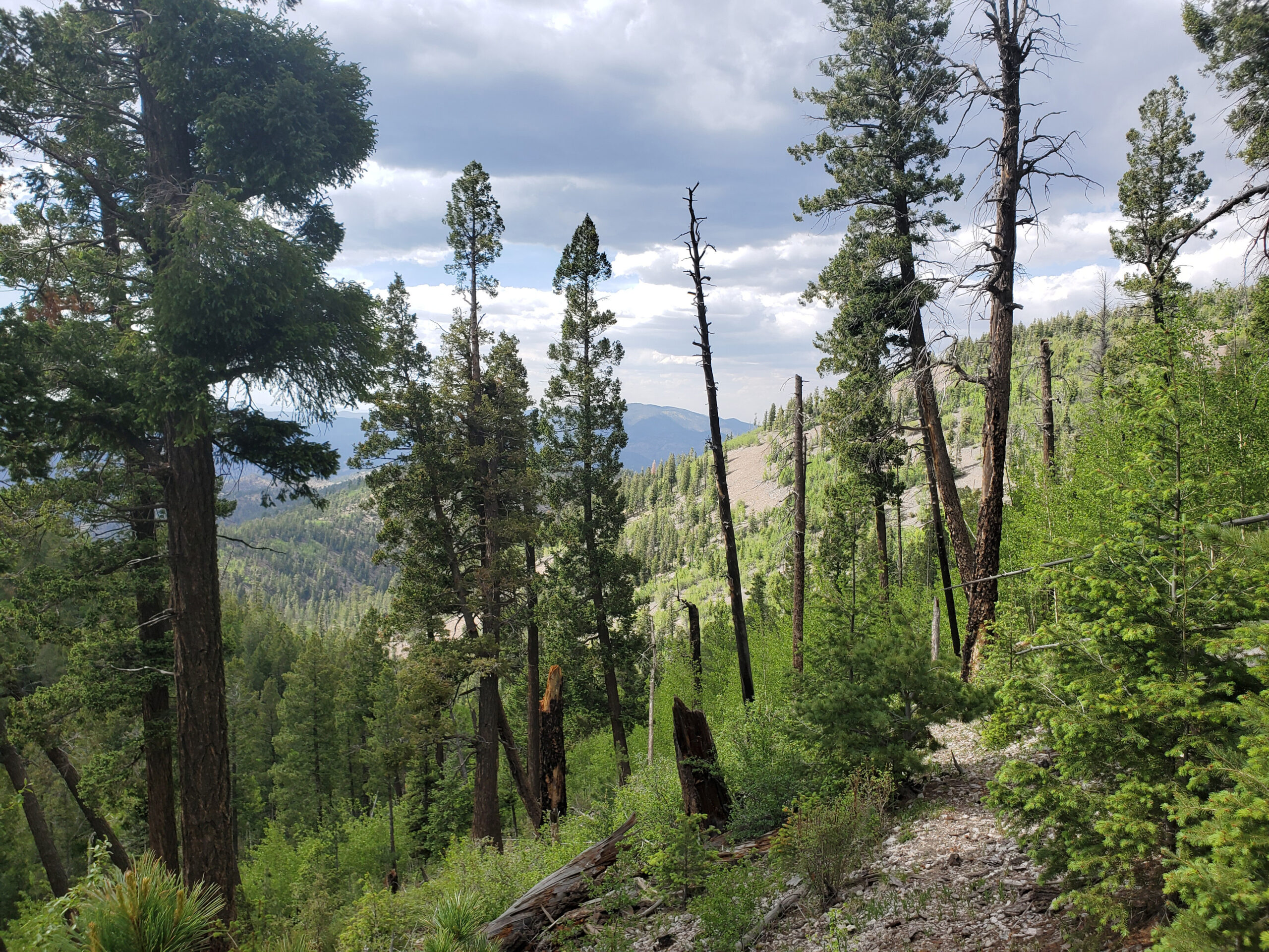 New Mexicans Applaud New “Public Lands Rule” that Could Protect Local Lands  