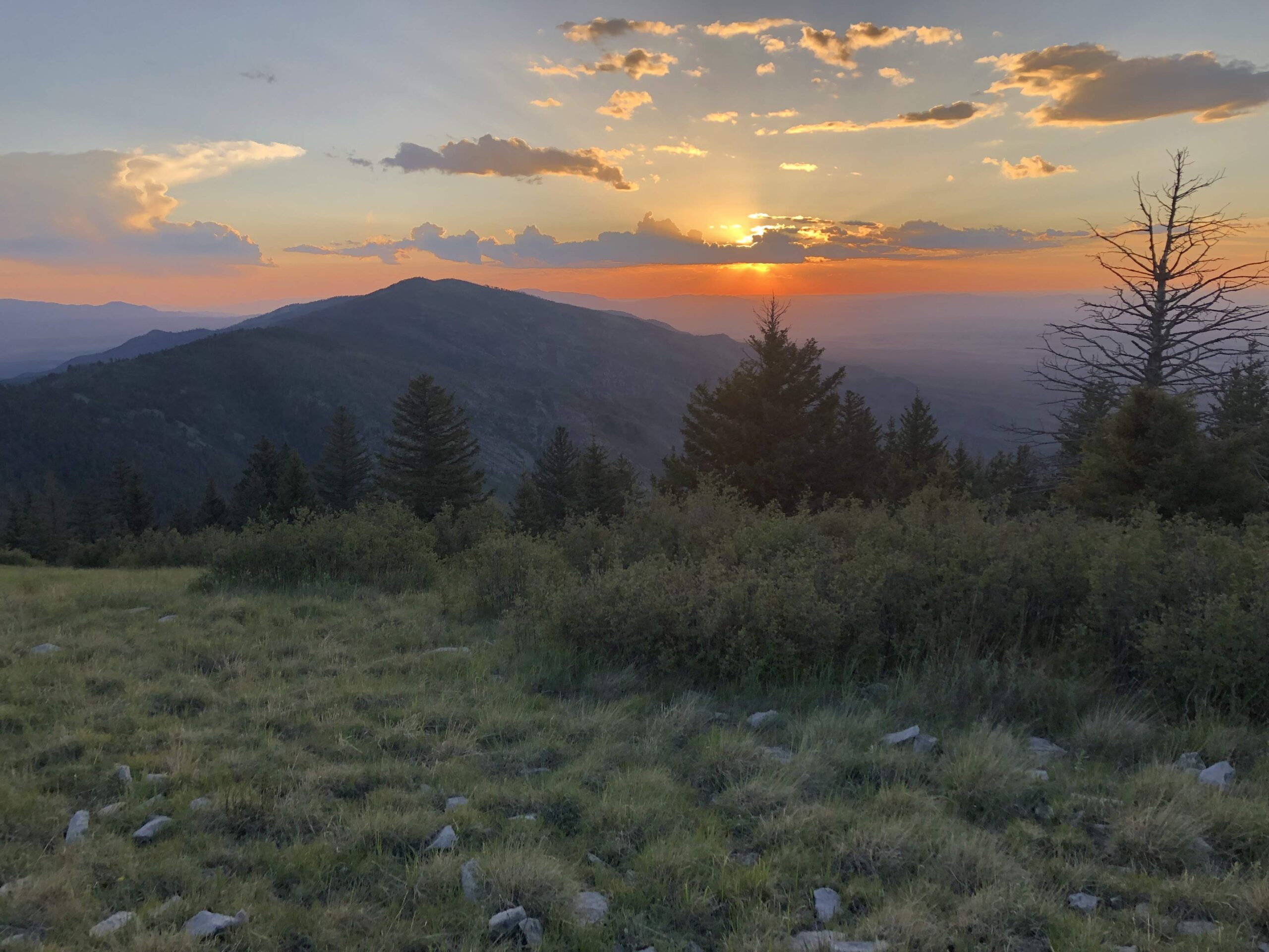 Capitan Peak Trail Clearing Project – Overnight