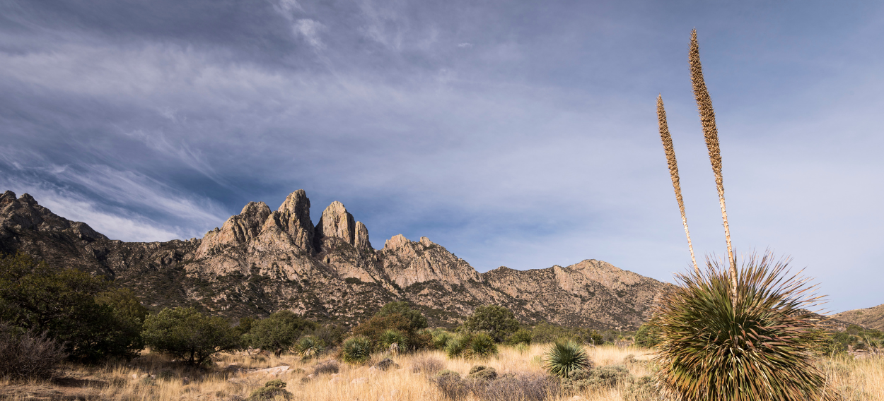 Organ Mountains-Desert Peaks National Monument Planning Process Underway