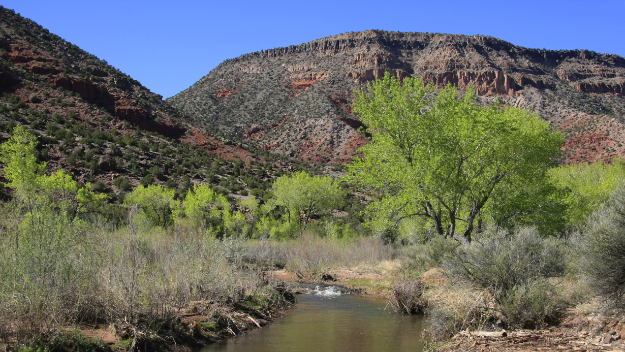 Action Alert: Speak up for New Mexico’s waters!