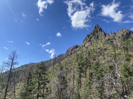 Trail Tales from the Apache Kid Wilderness: Adventures in Restoration and Discovery