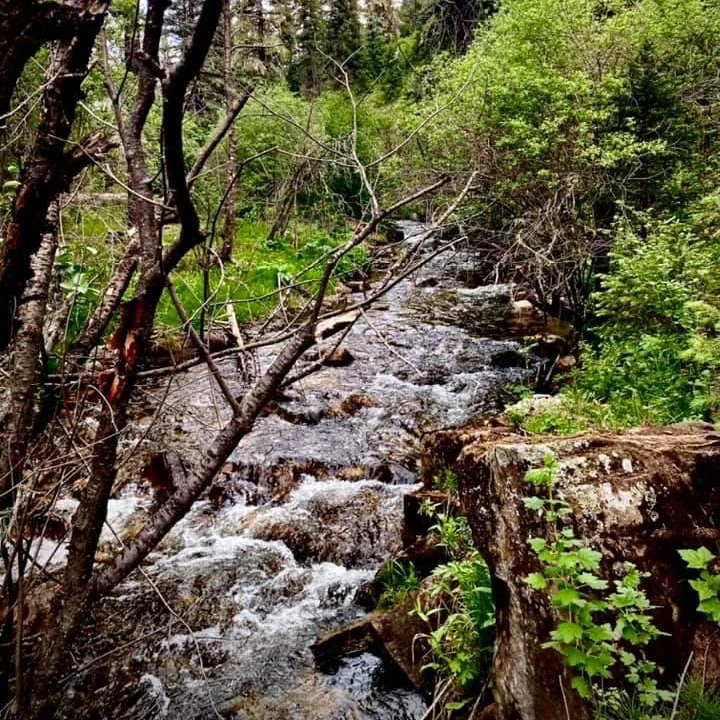 Pecos Wilderness Signage Project